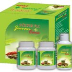 Herbal Jeevan Care for Diabetes