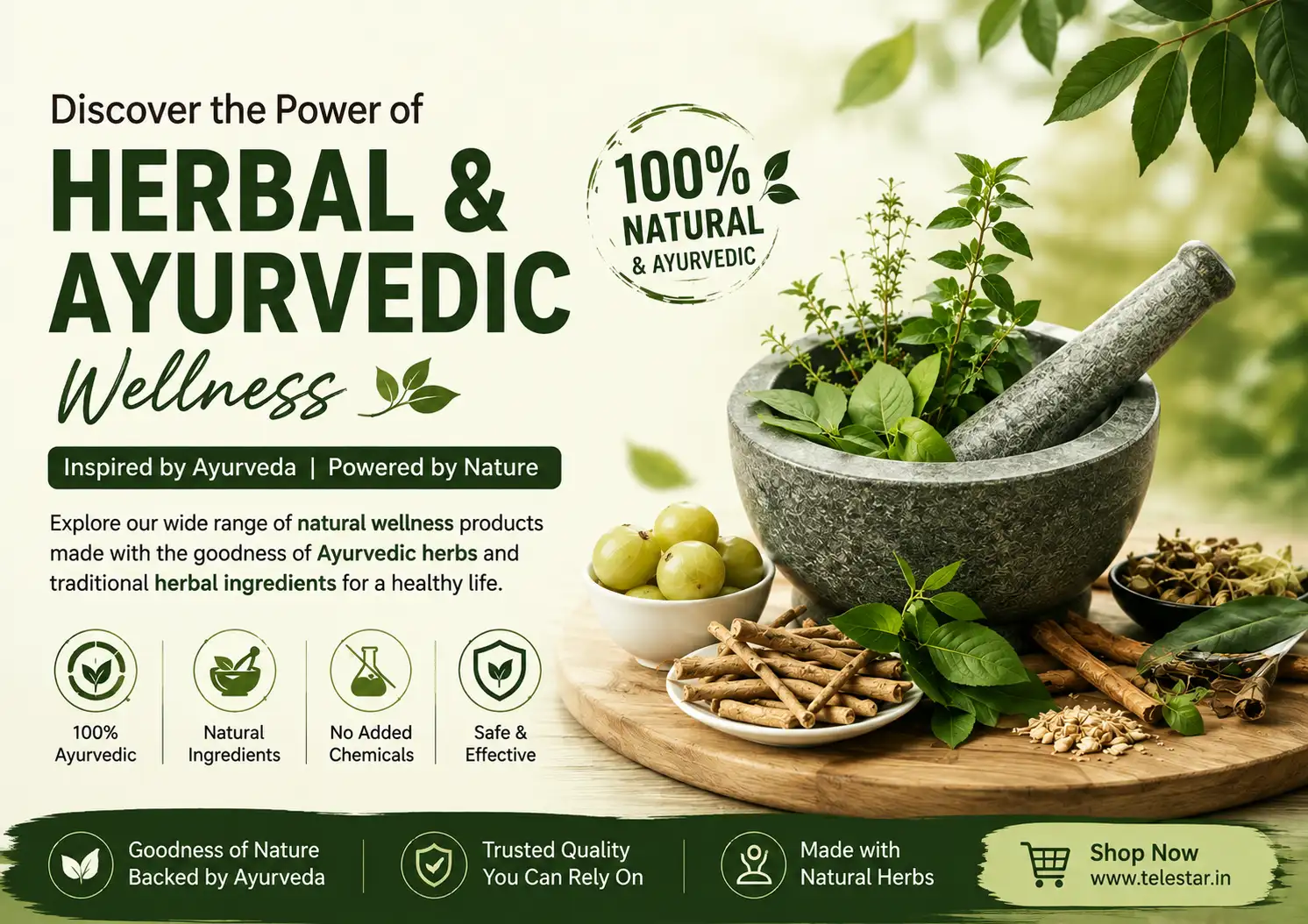 Ayurvedic Herbs Guide: 10 Natural Herbs aur Unke Benefits